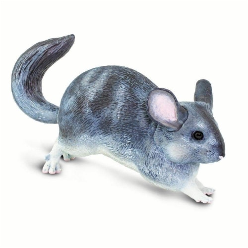 Chinchilla Perspective: left