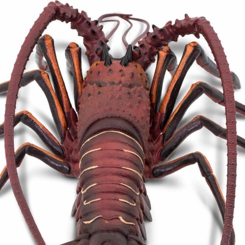 Safari Ltd®  Spiny Lobster, Toy Figurine Perspective: left