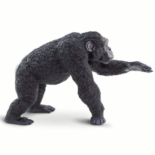 Chimpanzee Perspective: left