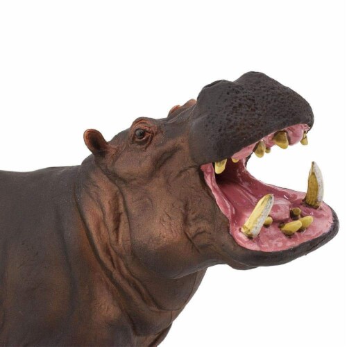 Hippopotamus Toy Perspective: left