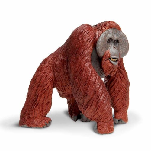 Bornean Orangutan Toy Perspective: left