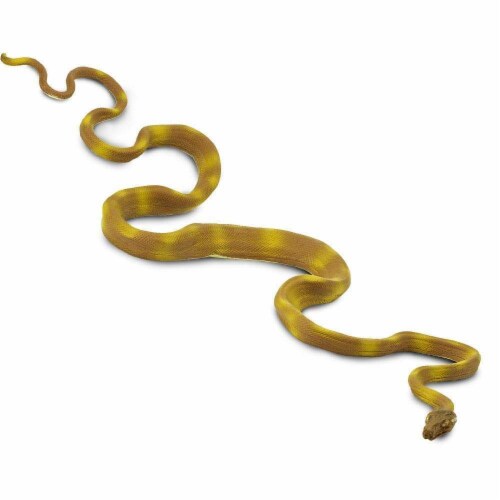 Amazon Tree Boa Perspective: left