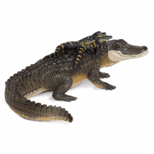 Alligator with Babies Perspective: left