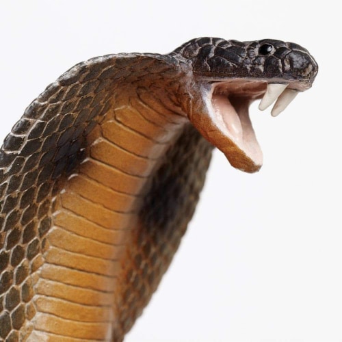 Cobra Perspective: left