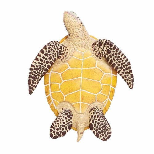 Sea Turtle Perspective: left