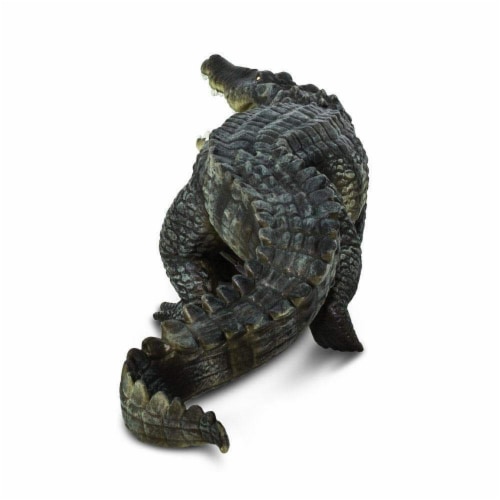 Saltwater Crocodile Perspective: left