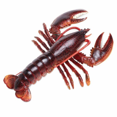 Safari Ltd®  Maine Lobster, Toy Figurine Perspective: left