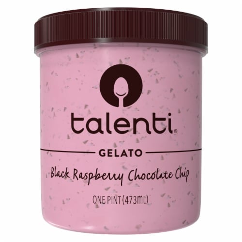 Talenti Black Raspberry Chocolate Chip Gelato Pint Perspective: left
