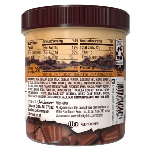 Talenti Layers Salted Caramel Truffle with Caramel and Vanilla Gelato Pint Perspective: left