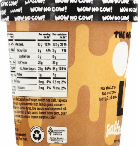 Oatly Salted Caramel Non-Dairy Frozen Dessert Perspective: left