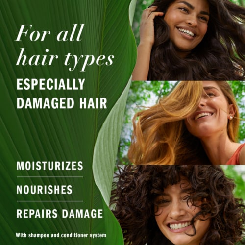 Herbal Essences Pure Plants Argan Oil Repair Shampoo, 13.5 fl oz - Ralphs