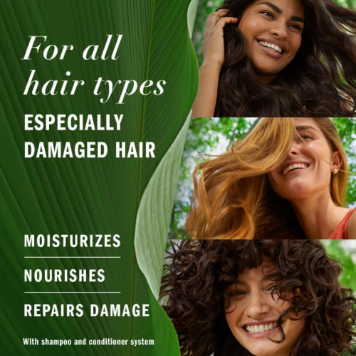 Herbal Essences bio:renew Argan Oil Of Morocco Repairing Color-Safe Conditioner Perspective: left