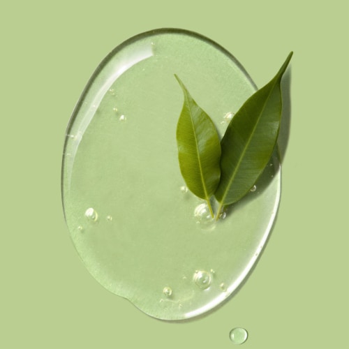 Herbal Essences Classics Clarifying Tea Tree Shampoo Perspective: left
