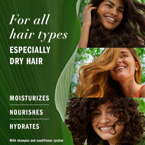 Herbal Essences Honey Daily Moisture Conditioner with Camellia Oil and Aloe Vera Sulfate Free Perspective: left