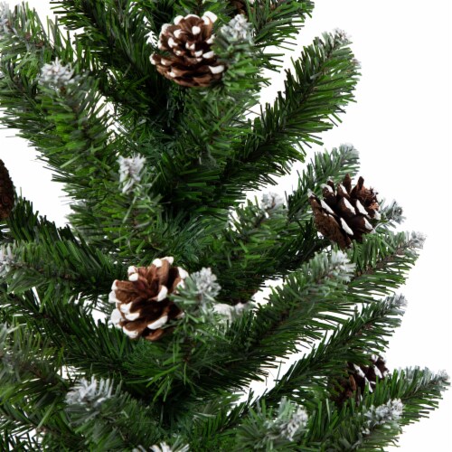 Northlight 24  Frosted Norway Pine with Pine Cones Medium Artificial Christmas Tree - Unlit Perspective: left