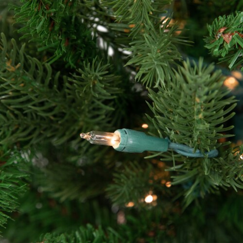 Potted christmas tree deals