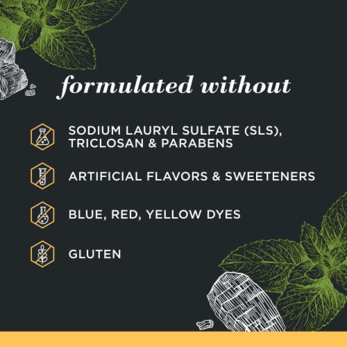 Burt's Bees Fluoride-Free Zen Peppermint Charcoal Toothpaste Perspective: left