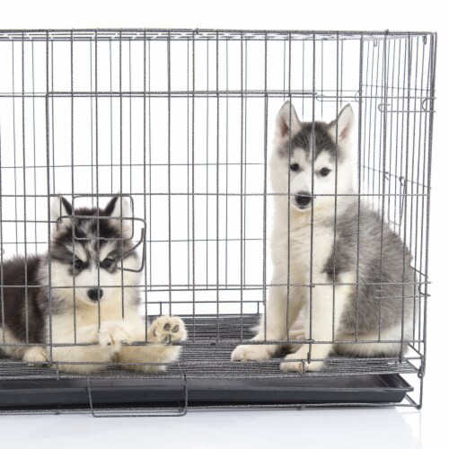Self Warming Pet Crate Pad- Self Heating Thermal Bed Liner for Dogs, Cats, Pets 36 x 24 Perspective: left