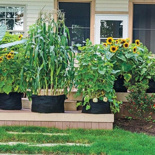 Gardens Alive! Grow Tub Growing Planter Perspective: left