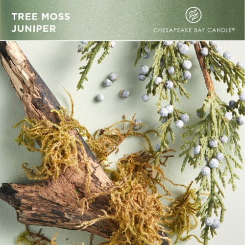 Chesapeake Bay® Candle Be Grounded (Tree Moss Juniper) Jar Candle Perspective: left