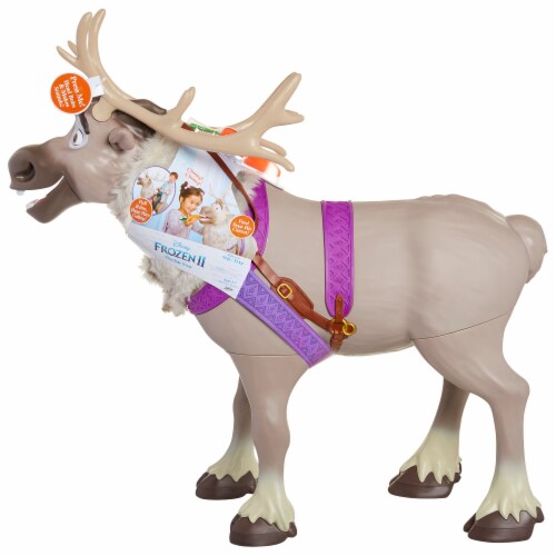 playdate with sven