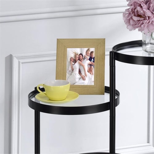 Furniture of America Rhort Contemporary Metal 3-Tier Plant Stand in Black Perspective: left