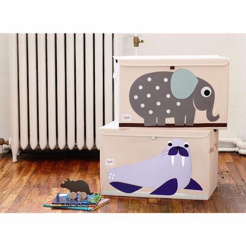 3 sprouts deals dinosaur