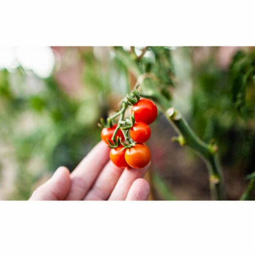 Coast of Maine OMRI Listed Tomato & Vegetable Planting Soil, 20 Qt Bag (2 Pack) Perspective: left