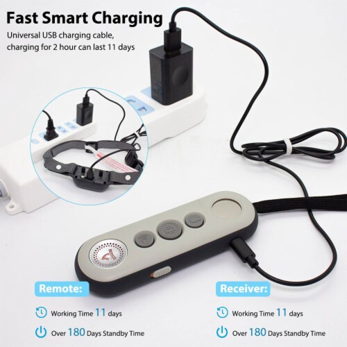 Patpet charger sales