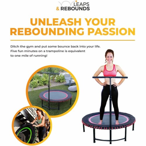Leaps and rebounder online