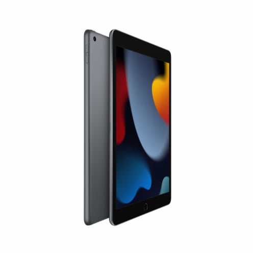 10.2-inch iPad Wi-Fi 256GB - Space Gray Perspective: left