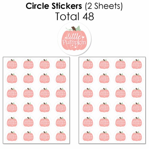 Big Dot of Happiness Girl Little Pumpkin Birthday Baby Shower Candy Favor Sticker Kit 304 Pc Perspective: left