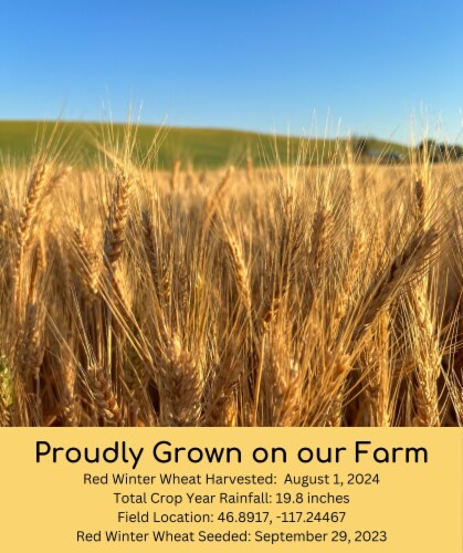Palouse Brand Hard Red Winter Wheat Berries Bundle, 100 LBS (4 - 25 LB Bags) Perspective: left
