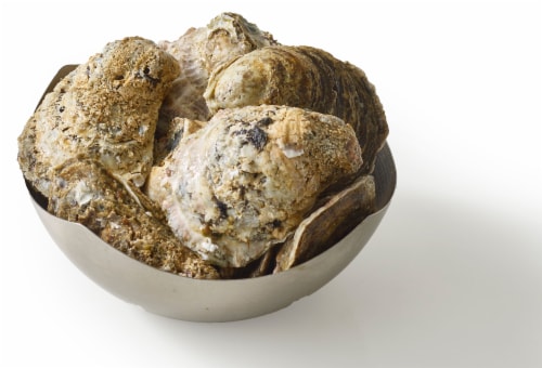 Live In-Shell Oysters Perspective: left