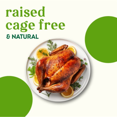 Simple Truth® Naturalˆ Fresh Whole Chicken With Giblets Perspective: left
