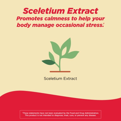 Tylenol Proactive Support* Muscle & Joint Supplements + Stress Perspective: left