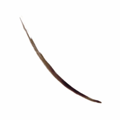 Revlon ColorStay Semi-Permanent Brow Ink 355 Dark Brown Perspective: left