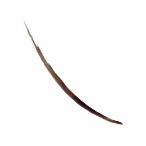 Revlon ColorStay Semi-Permanent Brow Ink 355 Dark Brown Perspective: left