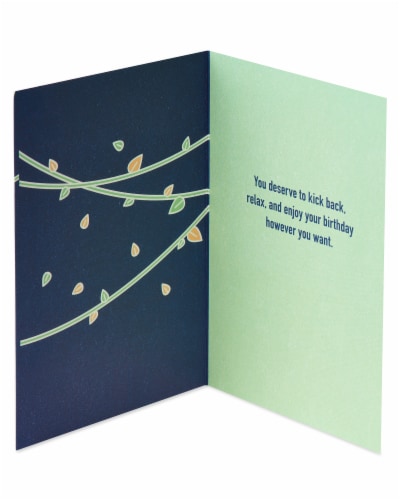American Greetings #34 Funny Birthday Card (Sloth) Perspective: left