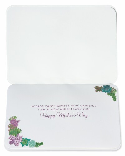 Papyrus #54 Mother's Day Card for Mom (Succulent Planters) Perspective: left