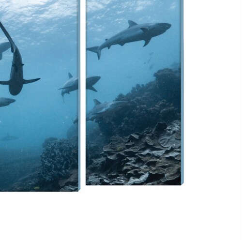 New View Underwater Scene Stretched Canvas Art Set Perspective: left
