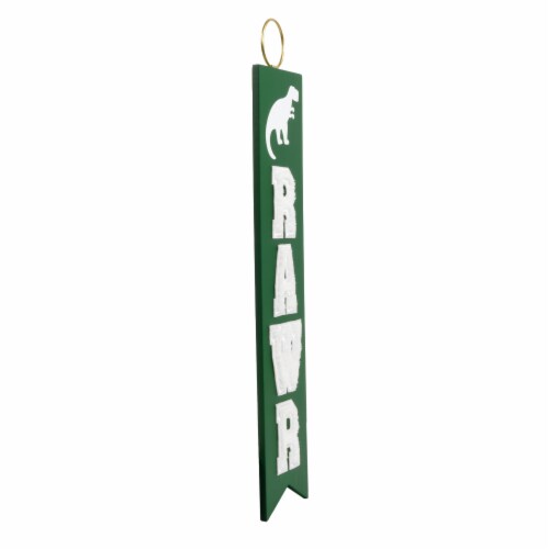 New View High RAWR Dino Themed Felt Banner Perspective: left