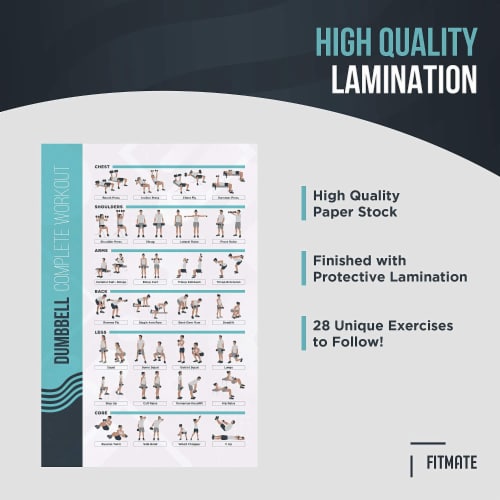 FitMate Dumbbell Workout Exercise Poster - (16.5 x 25 Inch) Perspective: left