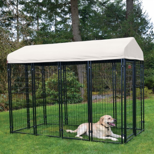 8 foot dog clearance kennel