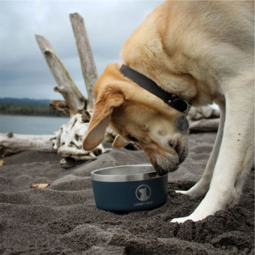 Lucky Dog INDULGE Double Wall Stainless Steel Dog Bowl 8 Cup 64
