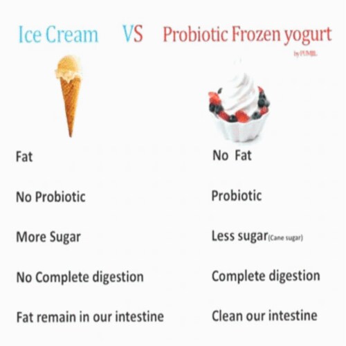 Taro Yogurt Powder Probiotic Soft Serve Ice Cream Mix 1 LB Jay