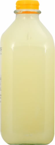 Oberweis Lemonade 1/2 Gallon Perspective: left