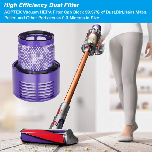 Dyson Cyclone V10 Absolute, Dyson filter