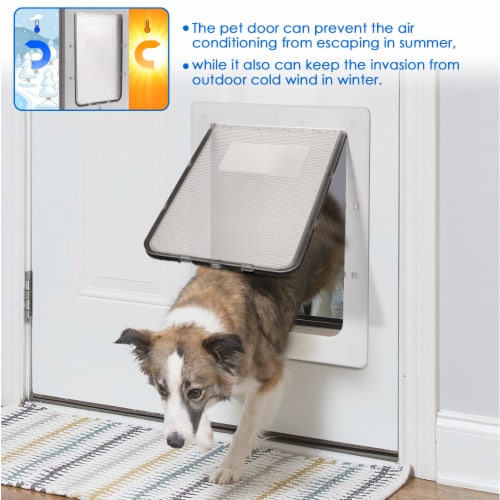 Dog flap in wall cheap