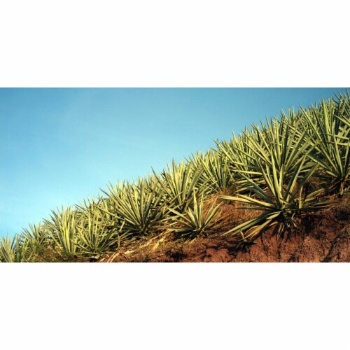 Del Maguey Mezcal Single Village Chichicapa Perspective: left